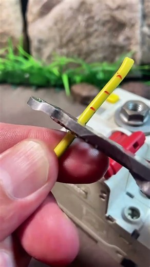 Screw Wiring Connection Trick #WiringTips #shortsfeed #Screw #tips