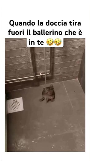 When the shower brings out the dancer in you 🤣🤣 #memes