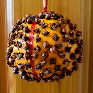 Orange Pomanders - Marias Place