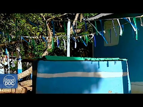 This is the Voodoo religion: we explain what this mysterious world is like (FULL DOCUMENTARY)