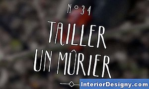 Jardin: Comment Tailler Un Mûrier Sans Épine Après La Récolte Des Fruits - 2026 | Fr.Interior-Designy.com