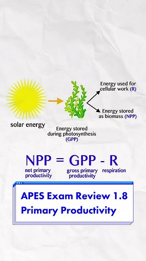Entendiendo la Productividad Primaria para AP Environmental Science