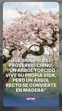 Proverbio chino: “Un árbol torcido vive su propia vida, pero un árbol recto se convierte en madera”