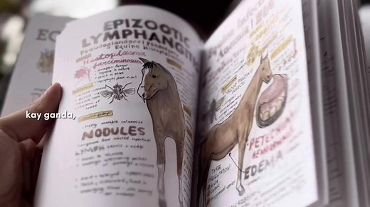 Farm Animal Disease Vet Notes Available on Shopee