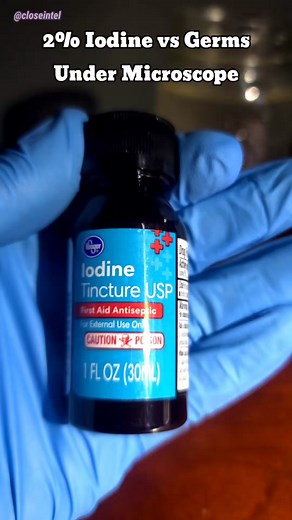 Iodine vs. Germs: Microscopic Battle Under the Lens