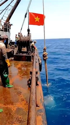 Big Fish Caught in Atlantic Sea Fishery Adventure