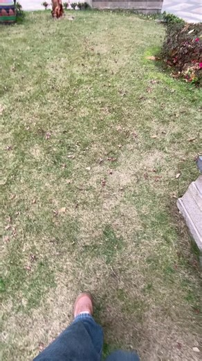 Top Heirlooms in Apex Legends: Which Is Your Favorite?