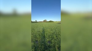 16K views · 175 reactions | I visited a boomerang maker in northern Germany 廙 | RamRez Boomerangs | Facebook