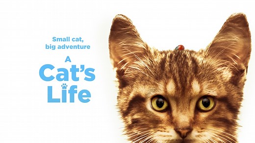 A Cat's Life - Apple TV