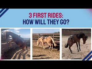 3 First Rides: How Will They Go? (Episode 285) - Herm Gailey: A Lifetime with Horses