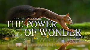 4.1K reactions · 1.2K shares | It has been said that “nature is the...