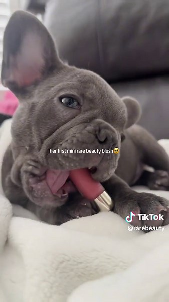 loves a Soft Pooch Liquid Blush🐶 #rarebeauty #softpinch #rarebeautyblush