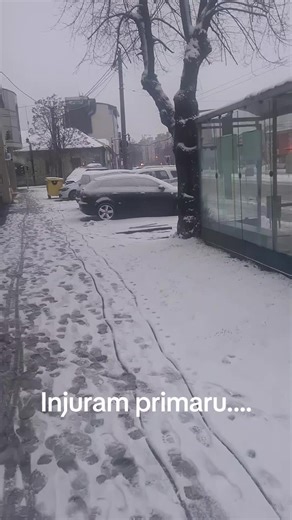 Videoclipuri postate de bebe_matzi (@bebe_matzi) cu sunet original - bebe_matzi