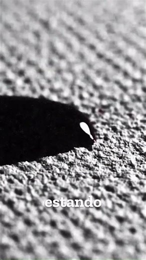 El Grito del Loro #miedo #paranormal #terrorymisterio #relatosdeterror #terrorcotidiano
