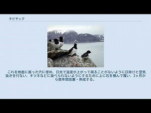 キビヤック