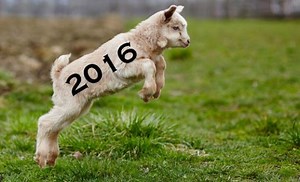 Leap Days Explained!