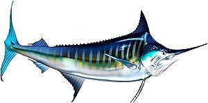 White Marlin Beautiful Fish Decal | Fishing Decal for Boat, Car, Vehicle, Truck Etc. | Waterproof Vinyl Sticker | Many Sizes & Styles Available | 12" to 40" by Digital Fish Art (Medium, Position 5)
