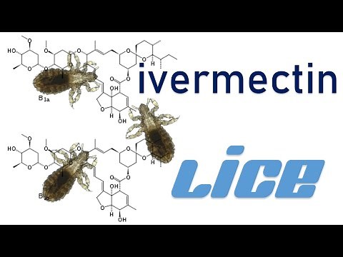 How does ivermectin work on lice? How much ivermectin can a human take?
