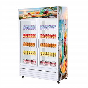 [Hot Item] OEM Double-Door Display Refrigeration Freezer, Customized Commercial Display Fridge for Convenience Store