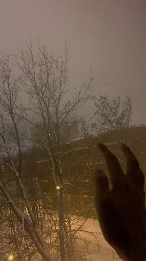 Антоха 178 Rus✔️ on TikTok