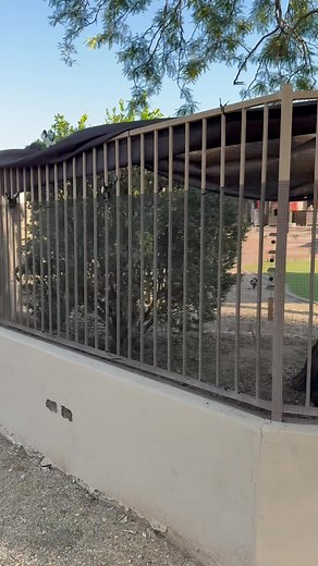 Getting a job done out in Cave Creek Arizona! Snake proofed ✅ | The Rattlesnake Defense Co.