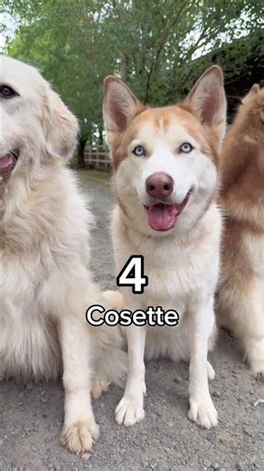 Are you an oldest, middle or youngest? 🤔 No matter how old they get they'll always be our babies 🥰