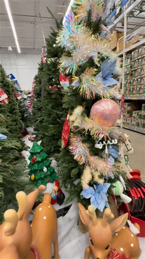 1K views · 16 reactions |  Okay, Walmart already has the Christmas trees out… and I’m not mad about it!  I spotted the cutest Hello Kitty tree that would be perfect for Lucy’s room — but let’s be real, I’ll always pick Santa. ❤️ #ChristmasVibes #WalmartFinds #CozySeason #HolidayMagic #ChristmasAtWalmart #HelloKittyTree #SantaGirl Walmart | Christy Chaney | Facebook