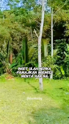 Pepeling Sunda #sunda #desakuring | Desa Kuring