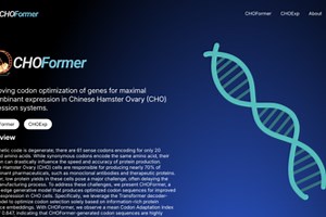 CHOFormance: Codon Optimization in Cricetulus griseus