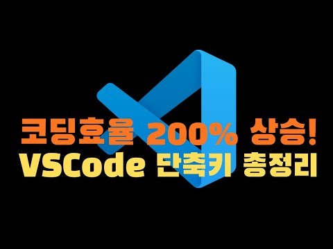 주니어 벗어나는 VScode 단축키! 이것만 알면 작업 속도 2배 (Feat. 시니어 습관)
