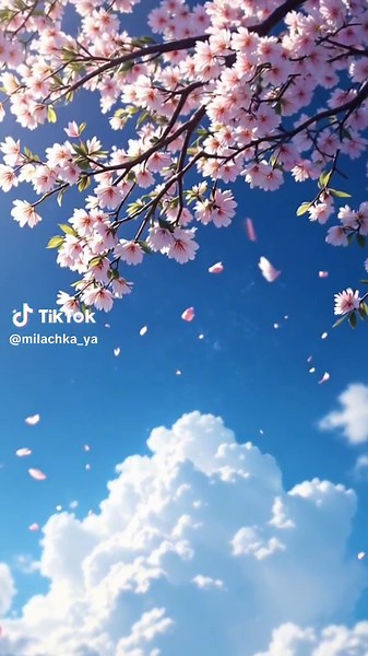 Spring-Themed Live Wallpapers for Your Device