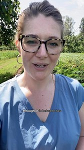 67 reactions · 7 comments | A “living fence” or “green wall” is a thick, layered fence of closely-planted trees.  In a Forest Garden, the living fence is key in effecting true, transformational change for the land and the farmer. | Trees for the Future | Facebook