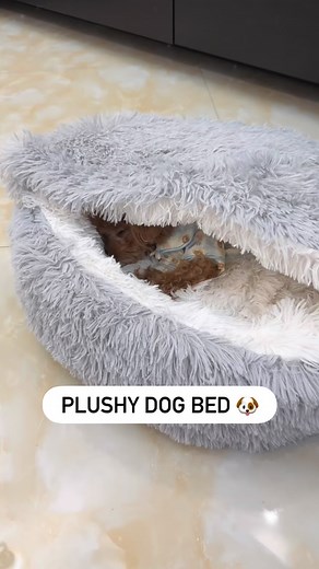 4.8K views · 5.6K reactions | Nap time  | GoodlyPaw | Facebook