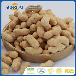 [Hot Item] Export Batch in-Shell Even Grain Weight Dense Kernel Fill Stable Loading Raw Groundnut/Peanut