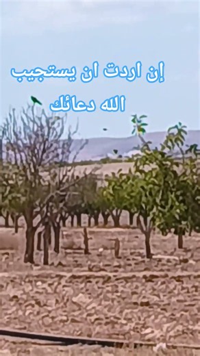 أن أردت أن يستجيب الله دعائك#صلوا_على_النبي #الدعاء_المستجاب #اكسبلور #لايك #التوبة #احاديث