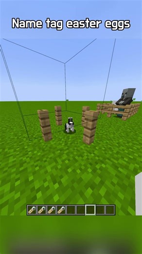 Minecraft Name tag easter eggs #minecraft #마인크래프트 #마크 #gaming #shorts