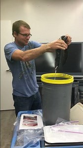 American Eels in a Bucket! (Slime Time!)