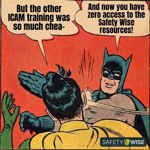ICAM Training: Beyond the Certificate | Lucas (Luke) Dam posted on the topic | LinkedIn