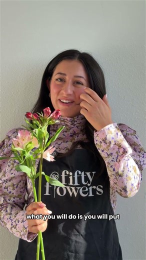 Alstroemeria Blooming Tips & Tricks!