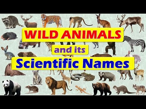 Wild Animals and its Scientific Names || Scientific Names of Wild Animals
