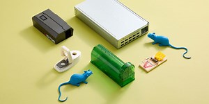 Not All Mousetraps Work—Experts Reveal the Best (and Worst)