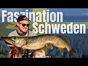 Faszination Hechtangeln in Schweden, Angeln in den Schären