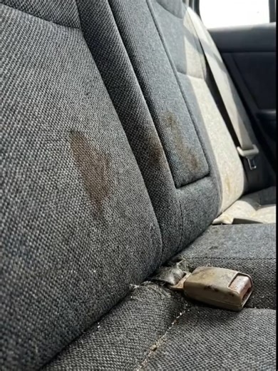 Quick Interior Reset: Spray and Wipe Method