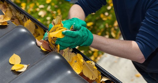 Preparing your home for spring