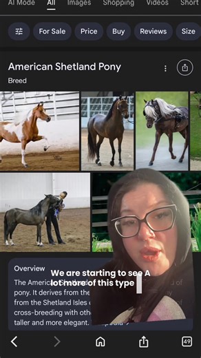 Shetland ponies vs American Shetland ponies vs miniature horses | Becca Hammon