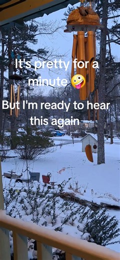 Talina (@tatoogirl48)’s videos with Spring Peeper Frogs - Ocean Sounds