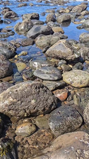 2.3K views · 51 reactions | 20 hag stones in 3 hours!!! A Hag Stones...