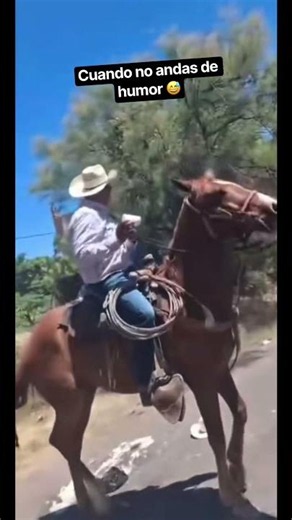 Día de cabalgata #estiloderancho #campomexicano #caballos #estiloderancho #enelrancho #vaqueros