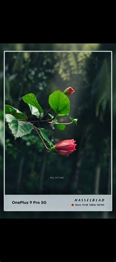 #mobilephotography #photoshoplightroom #lightroomediting #photoediting #photography#lightroom#photo