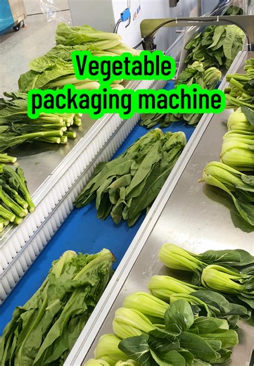 Automatic Vegetable & Fruit Packaging Machine